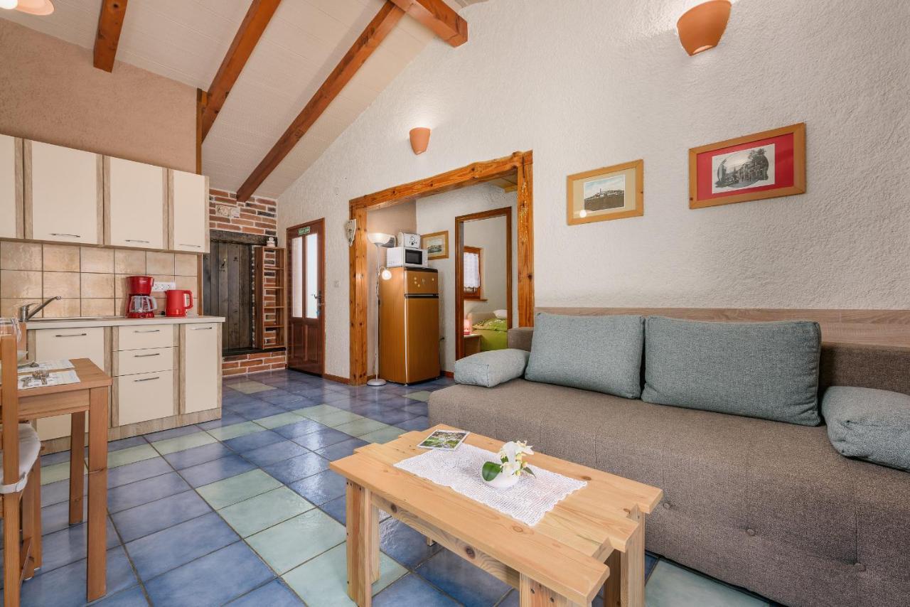 Apartment With Pool Višnjan Eksteriør bilde